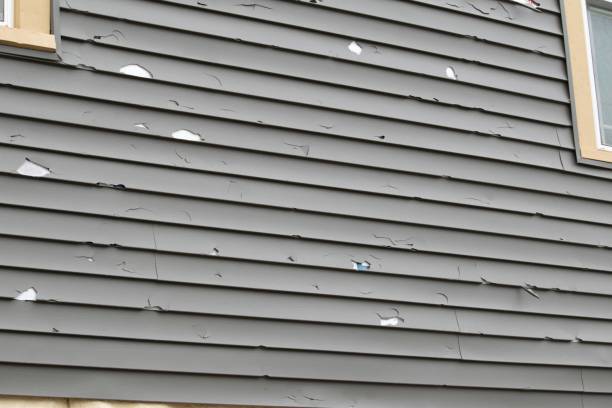 Siding Installation